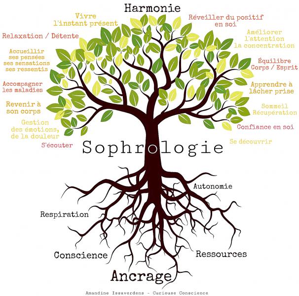 Arbre sophrologie